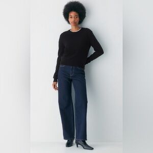 Aritzia Denim Forum Remy Hi-Rise Wide Jean